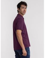 Ropa-CamisetaTipoPoloLevisHombre-ref233070-Wiseman-3.jpg