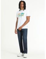 Ropa-JeanLevisHombre502-ref233300-Wiseman-4.jpg