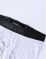 Ropa-BoxerChevignonHombre-ref090F103-154101-Wiseman-2.jpg
